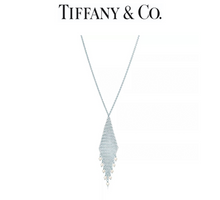 Load image into Gallery viewer, Tiffany &amp; Co Elsa Peretti Mesh Fringe Pendant